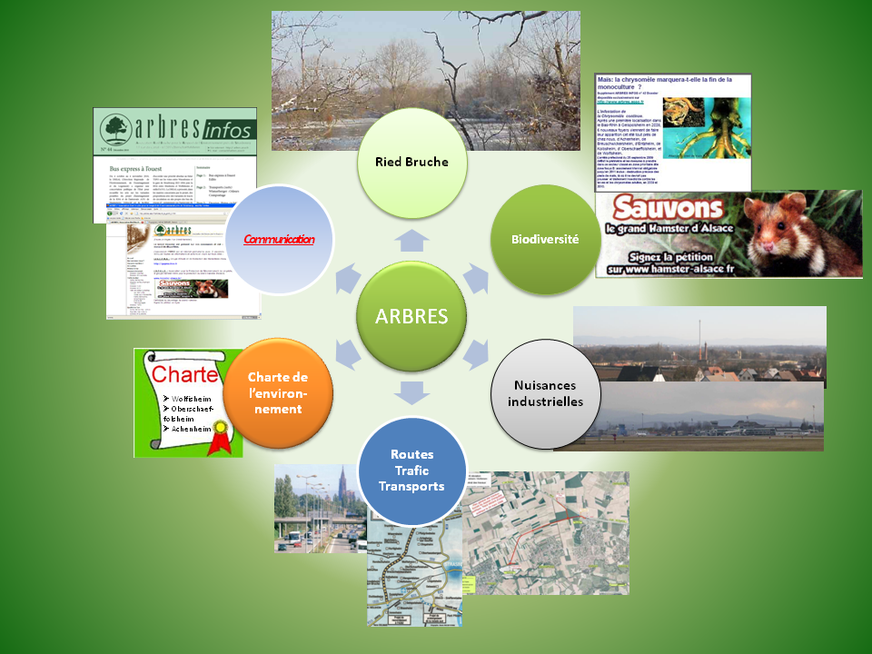 ARBRES / Association Ried Bruche pour le Respect de l'Environnement